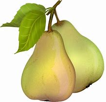 Image result for 2 Pears Clip Art