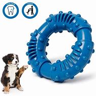 Image result for Hard Plastic Dog Chew Toys