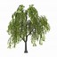 Image result for Weeping Willow Clip Art