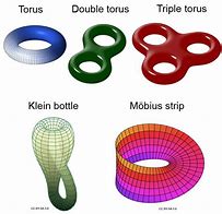 Image result for Euler Characteristic