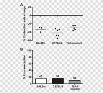 Image result for Bar Graph 4th Grade