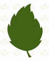 Image result for Leaves SVG Free