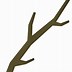 Image result for Tree Branch Cartoon Image