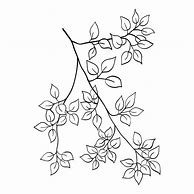 Image result for Vector Tree Branch Coloring