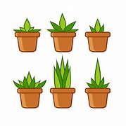 Image result for Human House Plant Trasformation