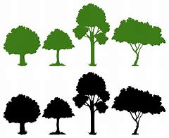 Image result for Tree Silhouette Designs