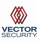 Image result for Security Systems Cartoon