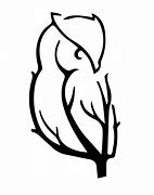 Image result for Owl On Tree Branch