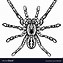 Image result for Halloween Spider Drawing