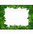 Image result for Jungle Leaf Border Clip Art