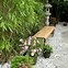 Image result for Bamboo BackYard