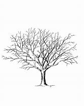 Image result for Tree Free Paper Logo