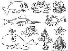 Image result for Free Sea Life Coloring Pages