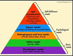 Image result for Maslow Hierarchy of Needs Examples