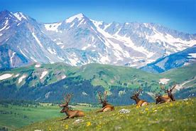 Image result for Rocky Mountain National Park Views