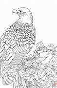 Image result for Realistic Eagle Coloring Pages