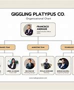 Image result for Organization Chart Design