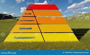 Image result for Maslow's Chart