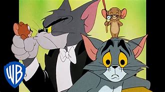 Image result for Tom and Jerry Cartoon Cat WB Kids