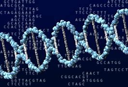 Image result for DNA Drawing