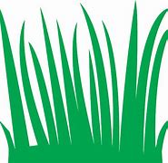 Image result for Cartoon Grass Blades