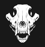 Image result for Wolf Skull Wallpaper