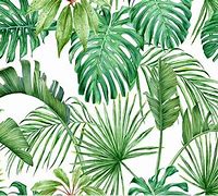 Image result for Desktop Backgrounds Watercolor Leaves