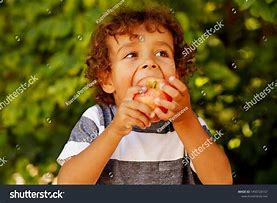 Image result for Fruit Poster for Kids