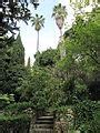 Image result for Palm Tree Forest Drawing