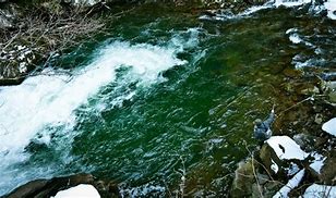 Image result for Bull Trout Fly Fishing