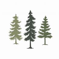 Image result for Pine Tree Silhouette Vector