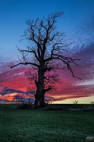 Image result for High Contrast Landscape Photography