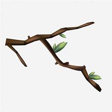 Image result for Tree Branch Cartoon Image