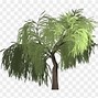 Image result for Black and White Graphic Art of Willow Tree Silhouette