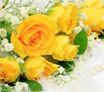 Image result for Yellow and White Roses