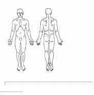 Image result for Human Body Diagram Outline Pain