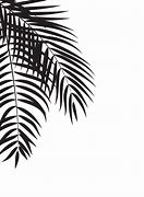 Image result for Palm Tree Leaf Silhouette