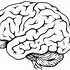 Image result for Brain ClipArt Black and White