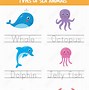 Image result for Ocean Animals Kids