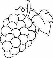 Image result for Grapes ClipArt Black and White