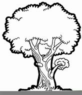 Image result for Tree Clker