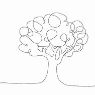 Image result for Tree On White Background Extreme Angle