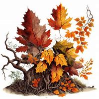 Image result for Fallen Leaves PNG