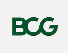 Image result for HBR BCG Ai