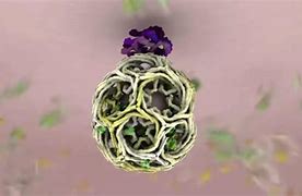 Image result for Isolated Membrane Vesicles