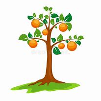 Image result for Orange Tree Vector