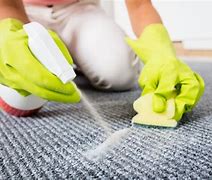 Image result for Carpet Cleaning Methods