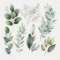 Image result for Ti Leaf Watercolor