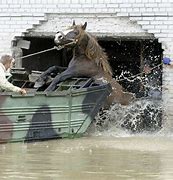 Image result for Flooding in Poland