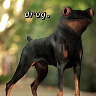 Image result for Drog Dog and Frog